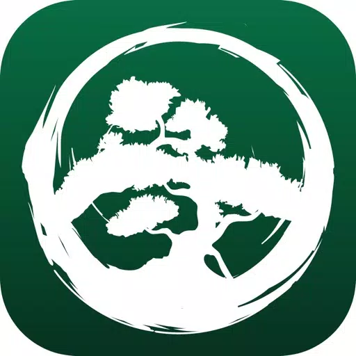 Kodama Adventures Kodama Adventures