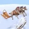 Dog Sled