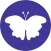 World of Butterflies