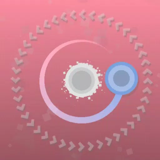Perfect Orbit-Precision Puzzle Perfect Orbit-Precision Puzzle
