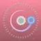 Perfect Orbit-Precision Puzzle