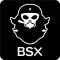BSX
