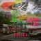 Consumer Recalls