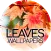 Wallpapers with leaves in 4K