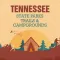 Tennessee State Parks, Trails & Campgrounds