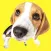 Beagle Fun Emoji Stickers