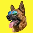 German Shepherd GSD Fun Emoji