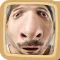 Funny Camera FX and Funny Voice