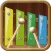 Xylophone:Music Instrument