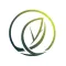 Foothill Vineyard Church