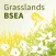 Grasslands