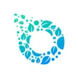 EcoWheel Rider