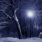 Peaceful Snowfall