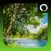 Summer Ambience HD