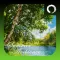 Summer Ambience HD
