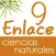 Vector Z | Enlace Ciencias Naturales 9