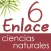 Vector Z | Enlace Ciencias Naturales 6