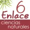 Vector Z | Enlace Ciencias Naturales 6