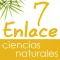 Vector Z | Enlace Ciencias Naturales 7