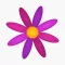 Menstrual Period Tracker