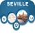 Seville Spain Offline City Maps Navigation