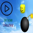 Sky Bomb by E. K.(from Bilsem) Sky Bomb by E. K.(from Bilsem)