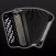 Button Accordion