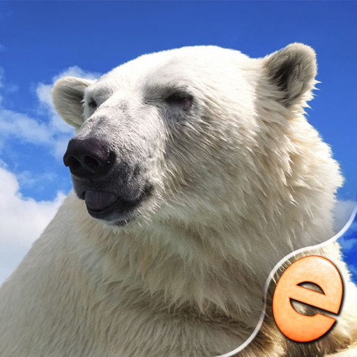 Jigsaw Wonder Polar Bear Puzzles for Kids Free Jigsaw Wonder Polar Bear Puzzles for Kids Free