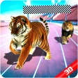 Wild Animals Racing 3D Wild Animals Racing 3D