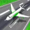 Airplane Flight - Pilot Flying
