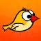 Amazing Bird Game