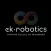 Mobile Robot Experience