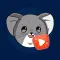 Chinchilla Time