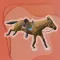 Skilled Horse Race
