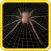 3D Spider Catch - Challange Your Speed Skills
