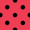 Ladybug - Opens Radar Links