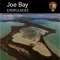 Joe Bay Angler Survey