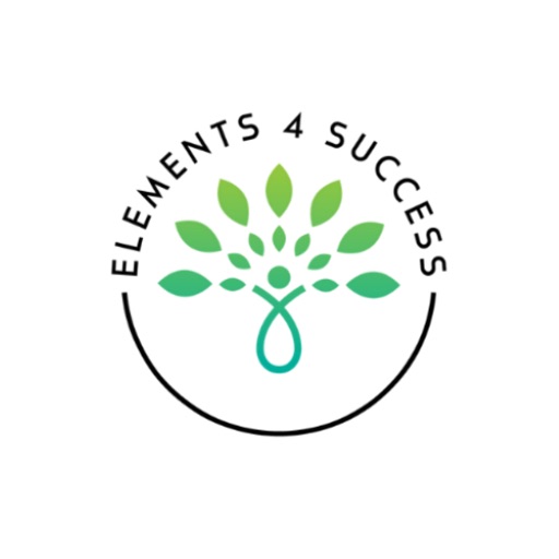 Elements 4 Success 4 Life Elements 4 Success 4 Life