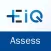 EiQ-Assess