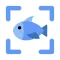 Fish Identifier by Picture