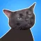 Zoning Out Cat
