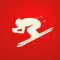 Ski Stickers