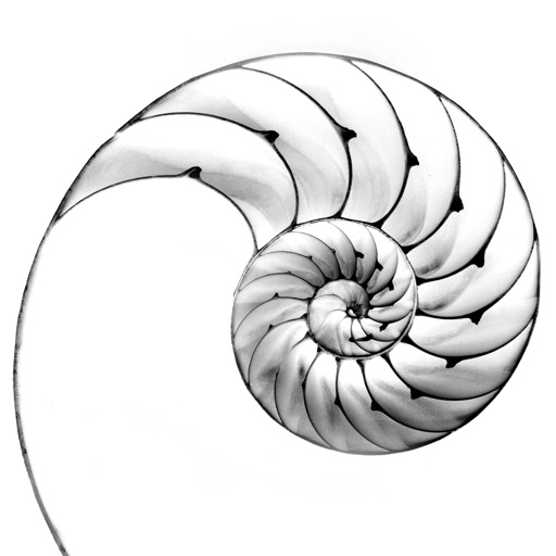 Nautilus by Elise Plans Nautilus by Elise Plans