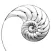 Nautilus by Elise Plans