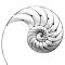 Nautilus by Elise Plans