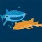 MNSU Aquatic