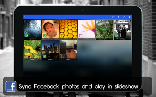 Tangkapan skrin Social Frame PRO
