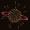 Fireworks 2022
