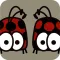 reverse ladybug