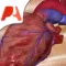 Pocket Heart